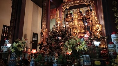 Ngôi chùa hơn 500 năm tuổi ở Hà Nội trước ngày cung nghinh xá lợi Phật