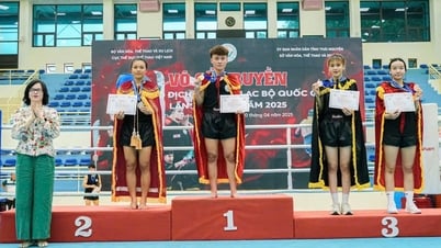 2025年全国伝統武術クラブ選手権：フー・イエンが銀メダル1個、銅メダル3個を獲得
