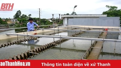 Đáp ứng tốt hơn nhu cầu sử dụng nước sạch trên địa bàn Hậu Lộc