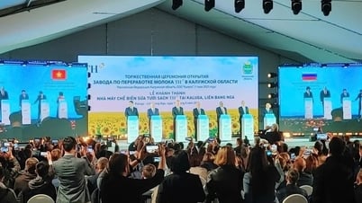 TH true MILK가 러시아 연방에서 공식적으로 신선 우유 공장을 운영합니다 - Lang Son 신문 및 라디오 및 텔레비전 방송국