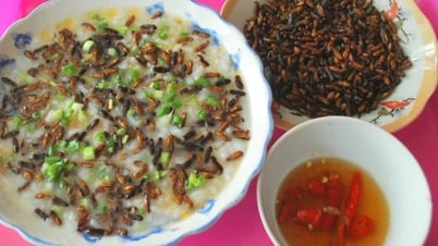 Mối cánh rừng Trường Sơn: Món đại ngàn ngon nức nở