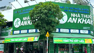 An Khang nâng cao quyền lợi người dùng bằng hệ thống tra cứu thuốc trực tiếp