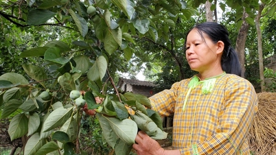 Cao Lộc giảm nghèo bền vững - Báo và Đài Phát thanh Truyền hình Lạng Sơn