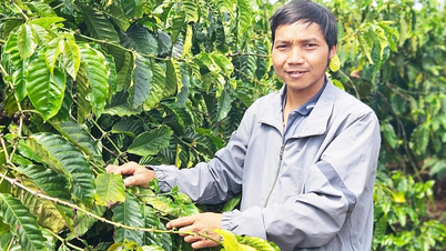 Ông Ning-Trưởng thôn “2 giỏi”