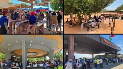 Summer Fest 2025: นักท่องเที่ยวกว่า 100,000 คน 'หมดไฟ' กับดนตรีและเทศกาลต่างๆ