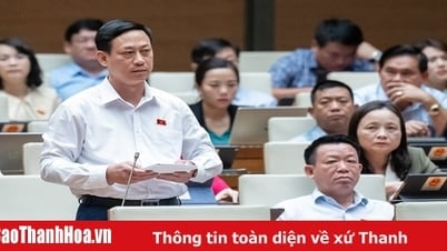 Đại biểu Mai Văn Hải (Đoàn ĐBQH tỉnh Thanh Hóa): Đề nghị bổ sung đối tượng được miễn thuế thu nhập đối với loại hình tổ hợp tác hoạt động trong lĩnh vực nông nghiệp, lâm nghiệp, ngư nghiệp, diêm nghiệp