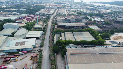 4 companies in Bien Hoa 1 Industrial Park were fined over 1.6 billion VND for environmental violations