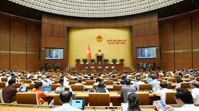 Расширение сферы управления бизнесом: институциональные прорывы для инноваций