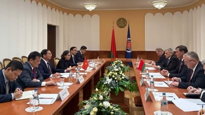 Phó Thủ tướng, Bộ trưởng Ngoại giao Bùi Thanh Sơn hội kiến Bộ trưởng Ngoại giao Belarus Maxim Ryzhenkov