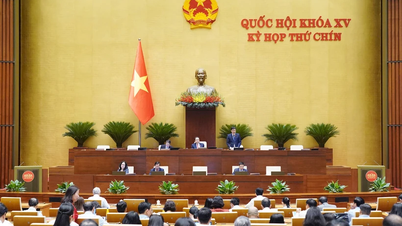 Consider shortening the term of the 15th National Assembly and People's Councils at all levels for the 2021-2026 term