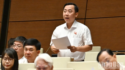 국회의원들, 세금 회피 위해 고의로 손실 보고하는 기업에 우려 표명