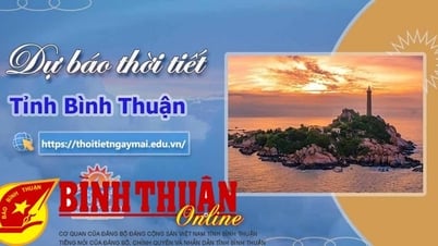 Hướng dẫn xem dự báo thời tiết Bình Thuận ngày mai, 5 ngày tới