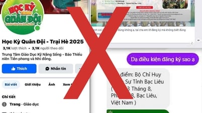 2025년 '군대 학기' 참여 사기 경고