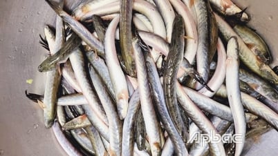 «Рыба-бычок встречает креветочную пасту»...