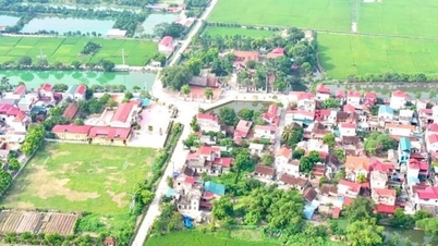 Tin tức đặc biệt trên báo in Hànộimới ngày 12-5-2025