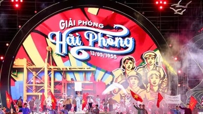 Magnificent Red Flamboyant Flower Festival Hai Phong 2025