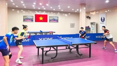 Hai nhà vô địch SEA Games Đinh Anh Hoàng, Trần Mai Ngọc dự Giải vô địch Bóng bàn quốc gia Báo Nhân Dân