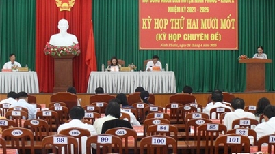 People's Council delegates of districts and cities agreed on the policy of rearranging administrative units at provincial and commune levels.