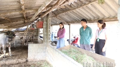 Vốn chính sách giúp giải quyết việc làm cho hơn 3.800 lao động