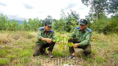 បើក​យុទ្ធនាការ​ត្រាប់​តាម​គោលដៅ​នៃ​គម្រោង «​ដាំ​ដើមឈើ​១​ពាន់​លាន​»