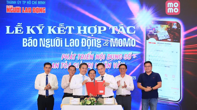 หนังสือพิมพ์ Nguoi Lao Dong ลงนามข้อตกลงความร่วมมือ ผนวกเนื้อหาลงบนแพลตฟอร์ม MoMo