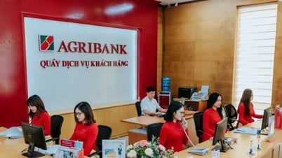 បញ្ជរ Agribank និងអត្រាការប្រាក់បញ្ញើតាមអ៊ីនធឺណិតក្នុងខែឧសភា ឆ្នាំ 2025