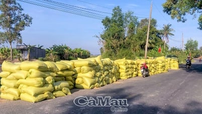 អង្ករបង្កើតទីតាំងពីគុណភាពខ្ពស់