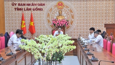 Hội nghị trực tuyến về dự thảo ban hành Nghị định quy định chi tiết một số điều và biện pháp thi hành Luật địa chất và khoáng sản