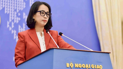 Việt Nam hoan nghênh đề xuất của Tổng thống Nga nối lại đàm phán trực tiếp với Ukraine
