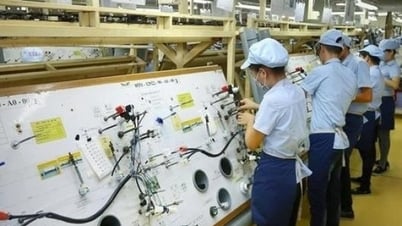 Vietnam es un destino atractivo para las empresas indias