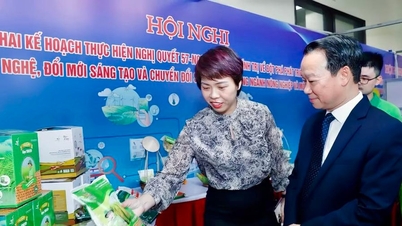 ThaiBinh Seed มุ่งมั่นพัฒนาวิทยาศาสตร์และเทคโนโลยี การเปลี่ยนแปลงทางดิจิทัล