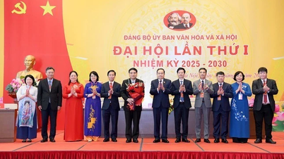 Appointment of personnel for Secretary and Deputy Secretary of the Party Committee of Culture and Social Affairs