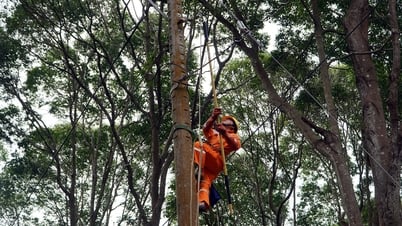 Welche Kundengruppen sind von steigenden Strompreisen betroffen?