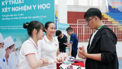 Près de 1 500 lycéens bénéficient d'une orientation professionnelle