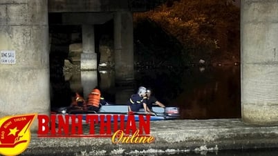 Konzentrieren Sie sich auf das Tauchen, um den vermissten Mann im Ca Ty-Fluss zu finden