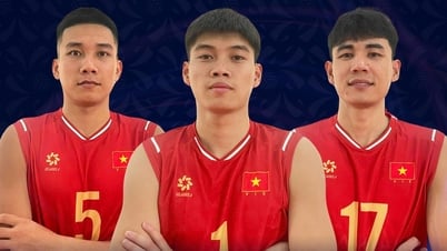 Spielplan des Volleyballturniers der AVC Champions League heute: Das vietnamesische Team betritt das Feld