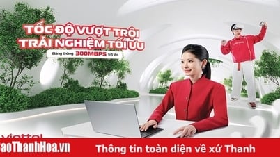 Toàn bộ khách hàng Viettel được nâng băng thông internet cáp quang lên tối thiểu 300Mbps