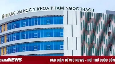 ផ្ទេរ​ការងារ​ទៅ​នាយក​សាកលវិទ្យាល័យ​វេជ្ជសាស្ត្រ Pham Ngoc Thach