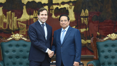 [Photo] Le Premier ministre Pham Minh Chinh reçoit le ministre suédois de la Coopération internationale au développement et du Commerce extérieur