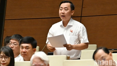 Đại biểu Quốc hội lo ngại tình trạng doanh nghiệp cố tình báo lỗ để trốn thuế - Báo và Đài Phát thanh Truyền hình Lạng Sơn