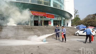 草の根から火に対する「盾」を築く