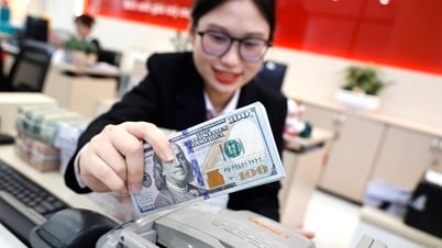 Giá USD lao dốc, dự báo mới nhất về tỉ giá tại Việt Nam