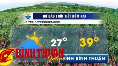 Cách xem dự báo thời tiết trực tuyến tại Bình Thuận hôm nay, ngày mai, tháng này