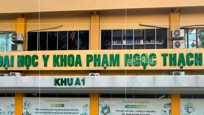 Thay Hiệu trưởng Trường Đại học Y khoa Phạm Ngọc Thạch