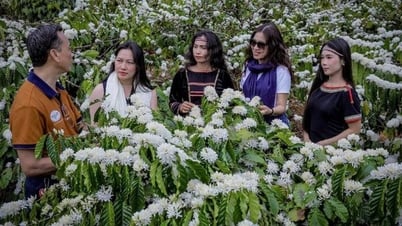 Đắk Lắk phát triển du lịch từ chiều sâu sản phẩm