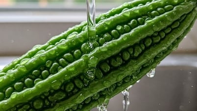 3 tipos de plantas que ayudan a los diabéticos a controlar el azúcar en sangre