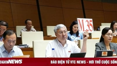 National Assembly Delegate: Many businesses deliberately report losses to evade taxes