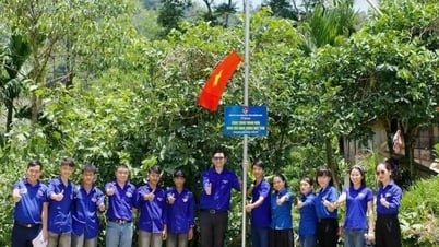 Quang Nam Provincial People's Committee Youth Union organizes the "Pink Holiday" campaign