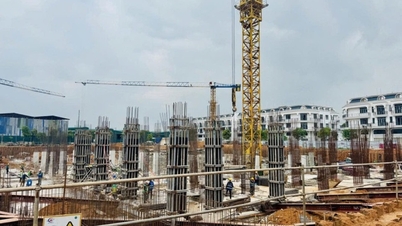 Xuất hiện tình trạng đất nền tăng nhanh cục bộ ở một số địa phương - Báo và Đài Phát thanh Truyền hình Lạng Sơn