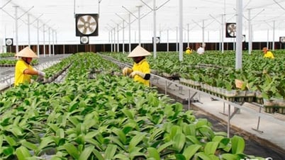 Many solutions to reduce greenhouse gas emissions in agriculture